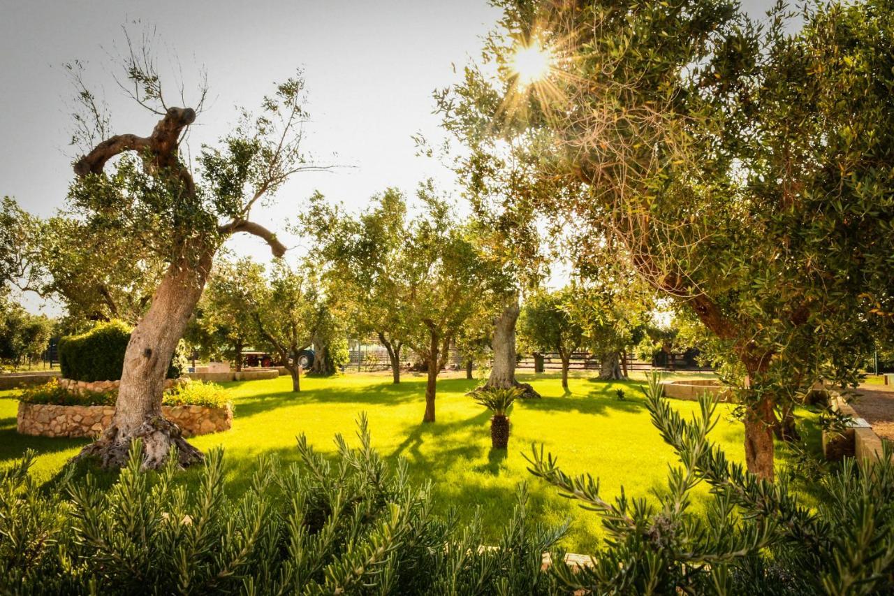 Alojamento de Turismo Rural Tenuta Corano *